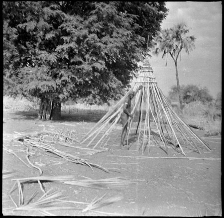 Mandari roof construction