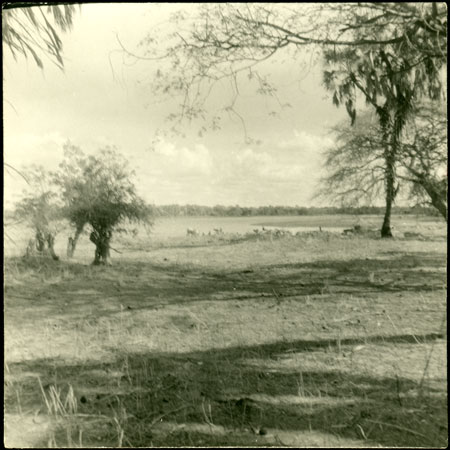 Mandari dry season lagoon