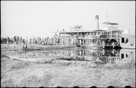 Western Nuerland steamer