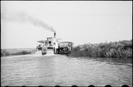 Western Nuerland steamer