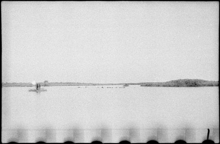 Nuerland Lagoon with hippo