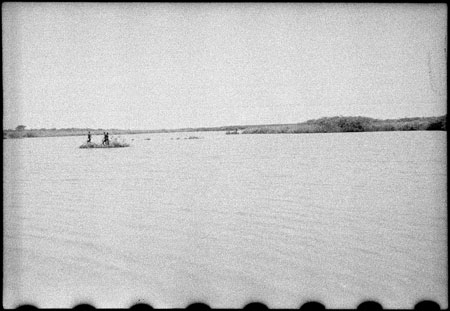 Nuerland Lagoon with hippo