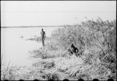 Nuer men in reedbed