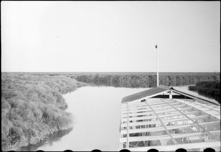 Western Nuerland steamer