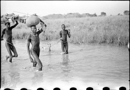 Nuer porters in stream