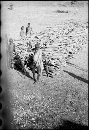 Fuelwood station on Nile