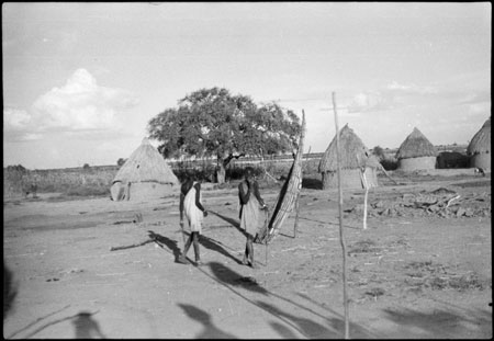 Shilluk homestead