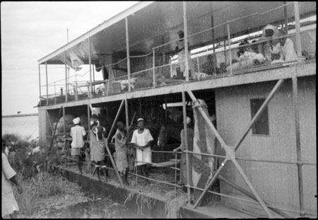 Nile paddle steamer