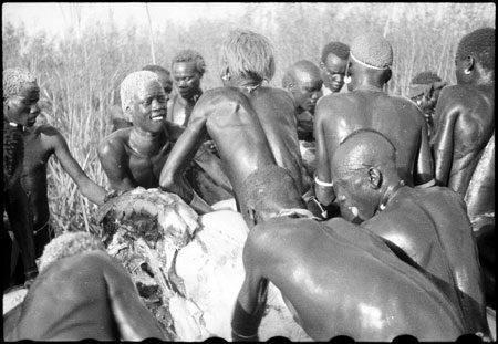 Hunting elephant in Nuerland