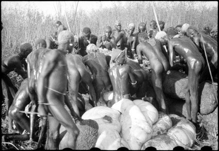 Hunting elephant in Nuerland