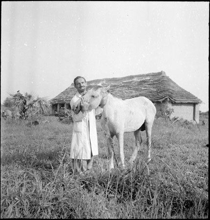 European man with horse