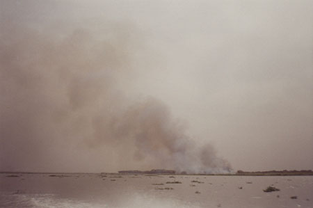 Grass burning along Nile