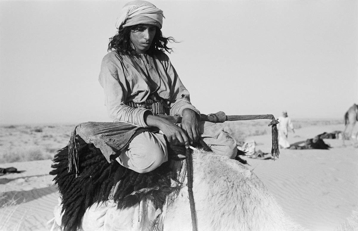 Seated portrait of Salim bin Kabina, one of Wilfred Thesiger's travelling companions, riding a camel during the party's journey from Jabal Sumeini to the port city of Sharjah.