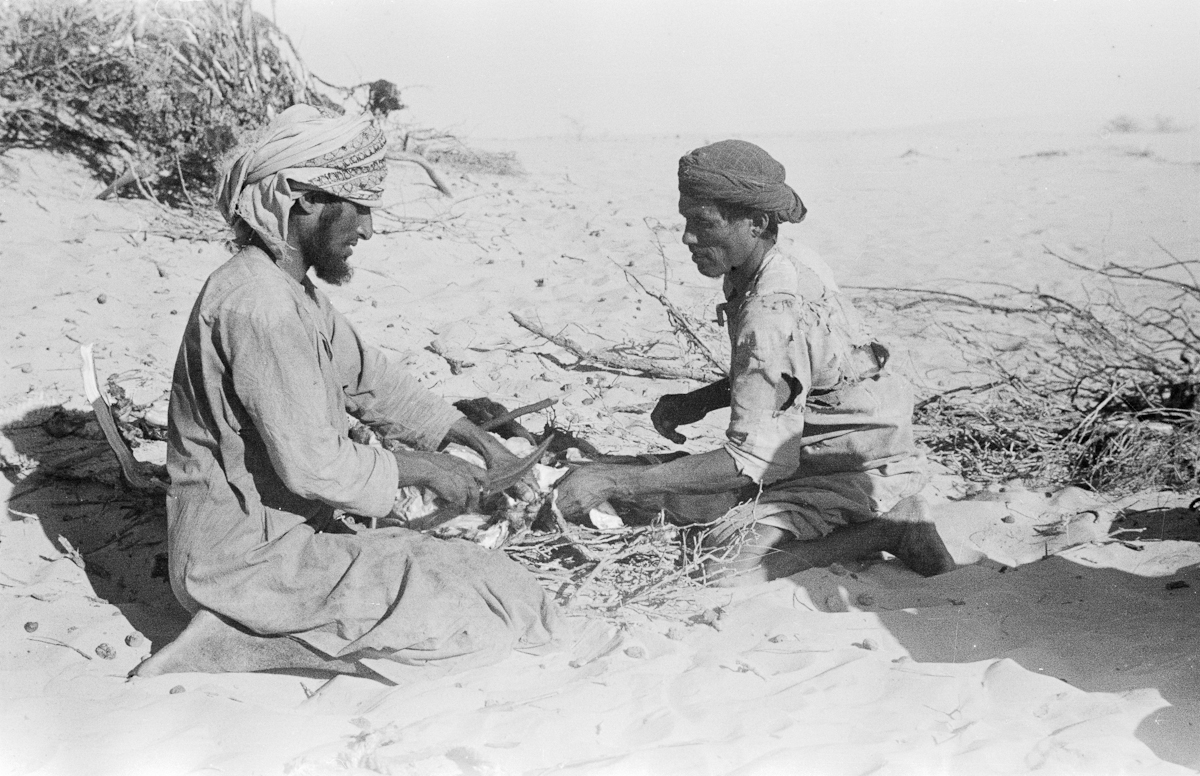 Portrait of two Bedouin men in Wilfred Thesiger's travelling party cutting up meat from a slaughtered camel in the Wadi Hawshi. They are separating the meat from the hide. The man on the left is Musallim bin Tafl, a tribesman of the Bayt Kathir Bedouin.