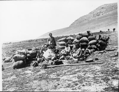 Tibetan Muleteers
