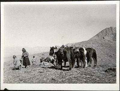 Horses and travellers resting