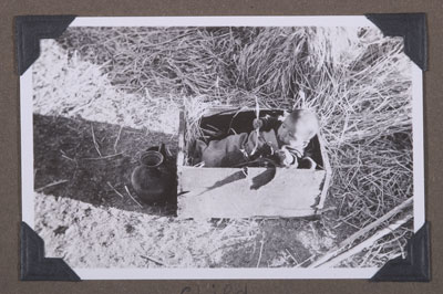 Tibetan baby during harvest