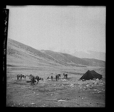 Black tent with men and ponies in Betsang