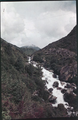 Mountain stream in rocky terrain in the Chumbi valley