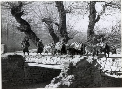 Mules and dzo crossing a stonework bridge