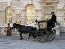 Hansom cab from wikipedia