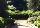 Pond at Larmer Gardens, May 2012