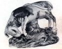 Bull and dog sold 1969