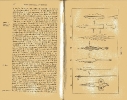 Plate 10 1877 catalogue