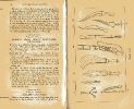 Plate 13 1877 catalogue