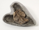 Heart in lead case, County Cork, Ireland 1884.57.18