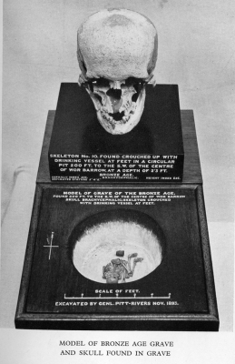 Bronze Age skull and grave (Plate XIV, 'The Pitt-Rivers Museum, Farnham')