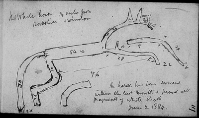 White Horse Uffington drawn by ?Pitt-Rivers, National Archives, Pitt-Rivers notebooks WOR14 page 122