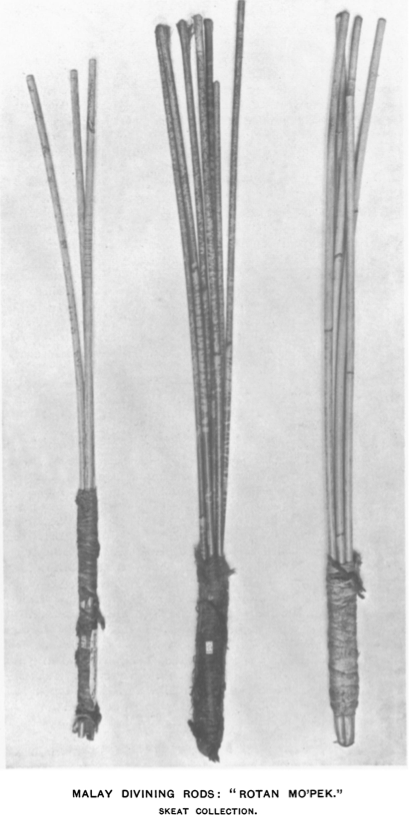 Plate D Tylor 'Malay Divining Rods' JAI 1902 pp. 49-50