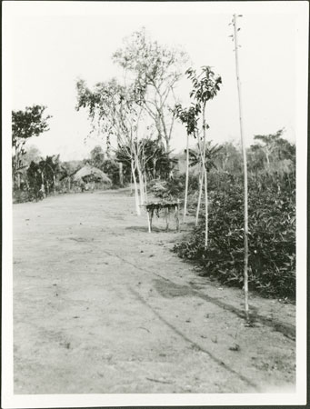 Zande road with medicine hut