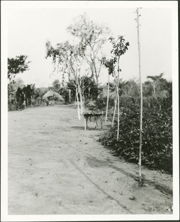 Zande road with medicine hut