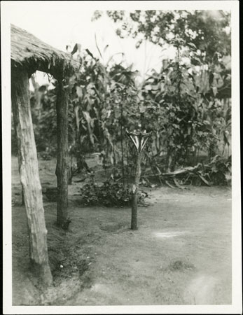 Zande spirit-shrine in homestead