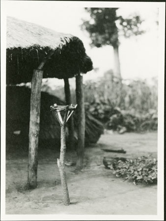 Zande spirit-shrine in homestead