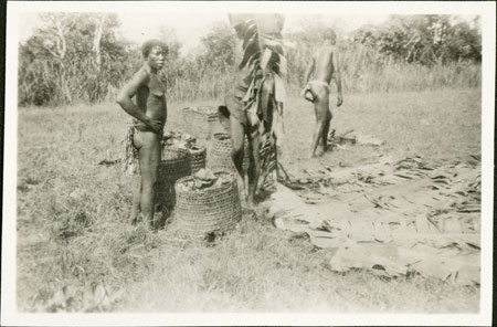 Zande beer preparation 