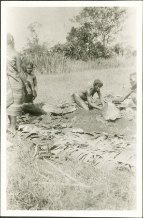 Zande beer preparation 