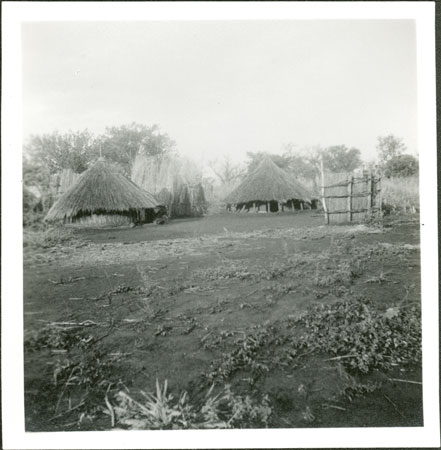 Anuak homestead