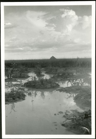 Flooded garden in Nuerland