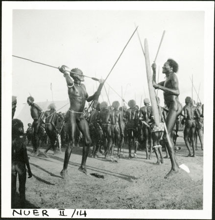 Nuer fishing spear (1936.10.6 .1 .2) from the Southern Sudan Project