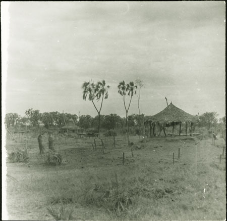 Mandari cattle camp